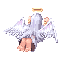 ���J�o���[����B