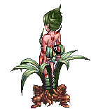 �h���A�[�h����@���B���B